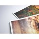 Canvas A5 mat inkjet printabil, din polyester, greutate 230g/mp - pachet 10 coli Canvas A5 mat inkjet printabil, din polyester, greutate 230g/mp - pachet 10 coli